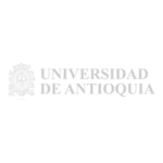Universidad
