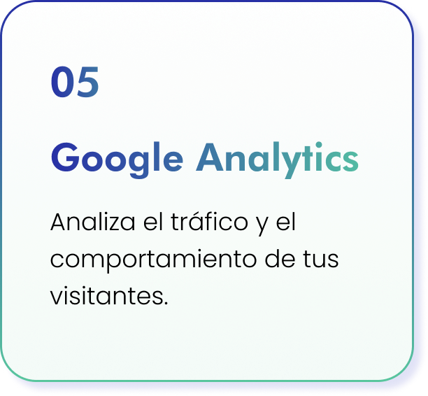 ficha-sense-google-ads-web